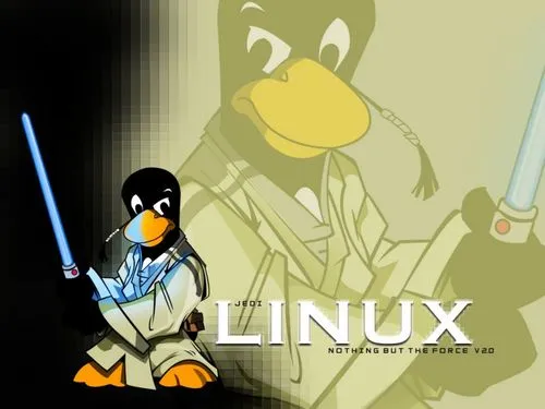 Linux 命令的格式与补全
